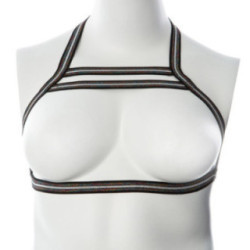 Gender Fluid Silver Lining Harness-Rainbow Glitter S-L